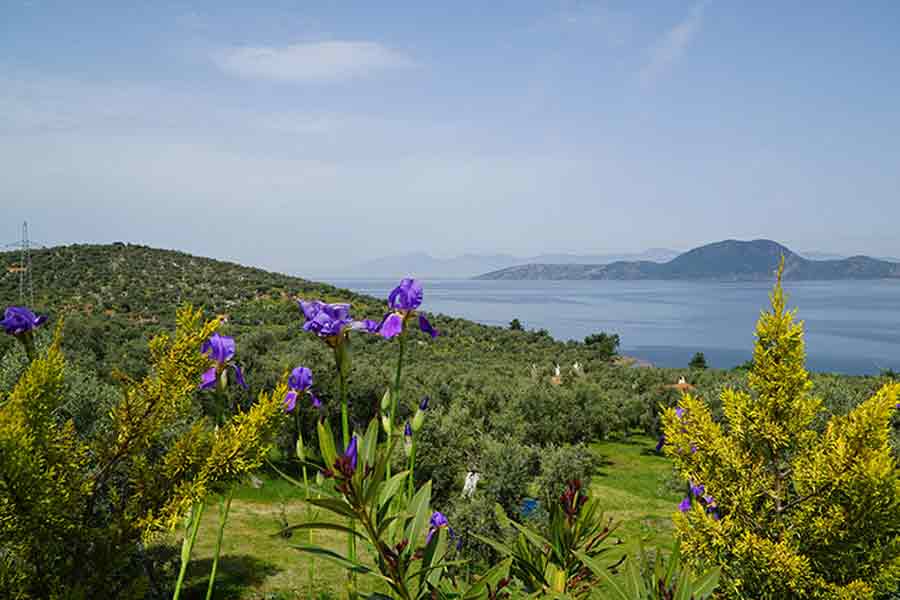 Turkey's Five Trekking Trails Steeped in Nature & Ancient History