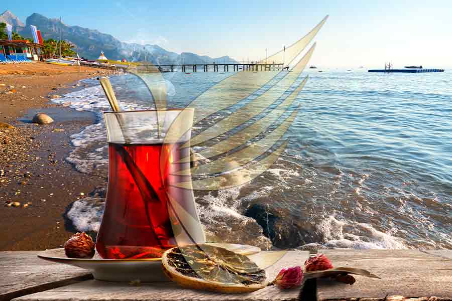 Turkey's Sunshine